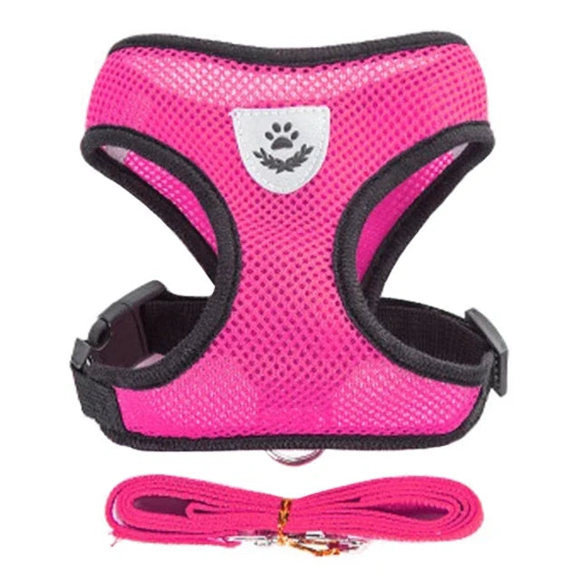 Cat Harness and Leash 2