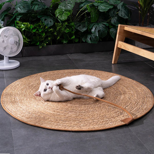 Cat Scratching Board 1
