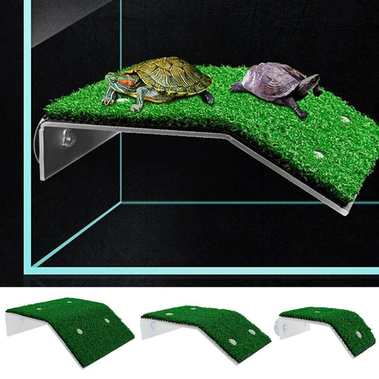 Turtle Moss Ramp