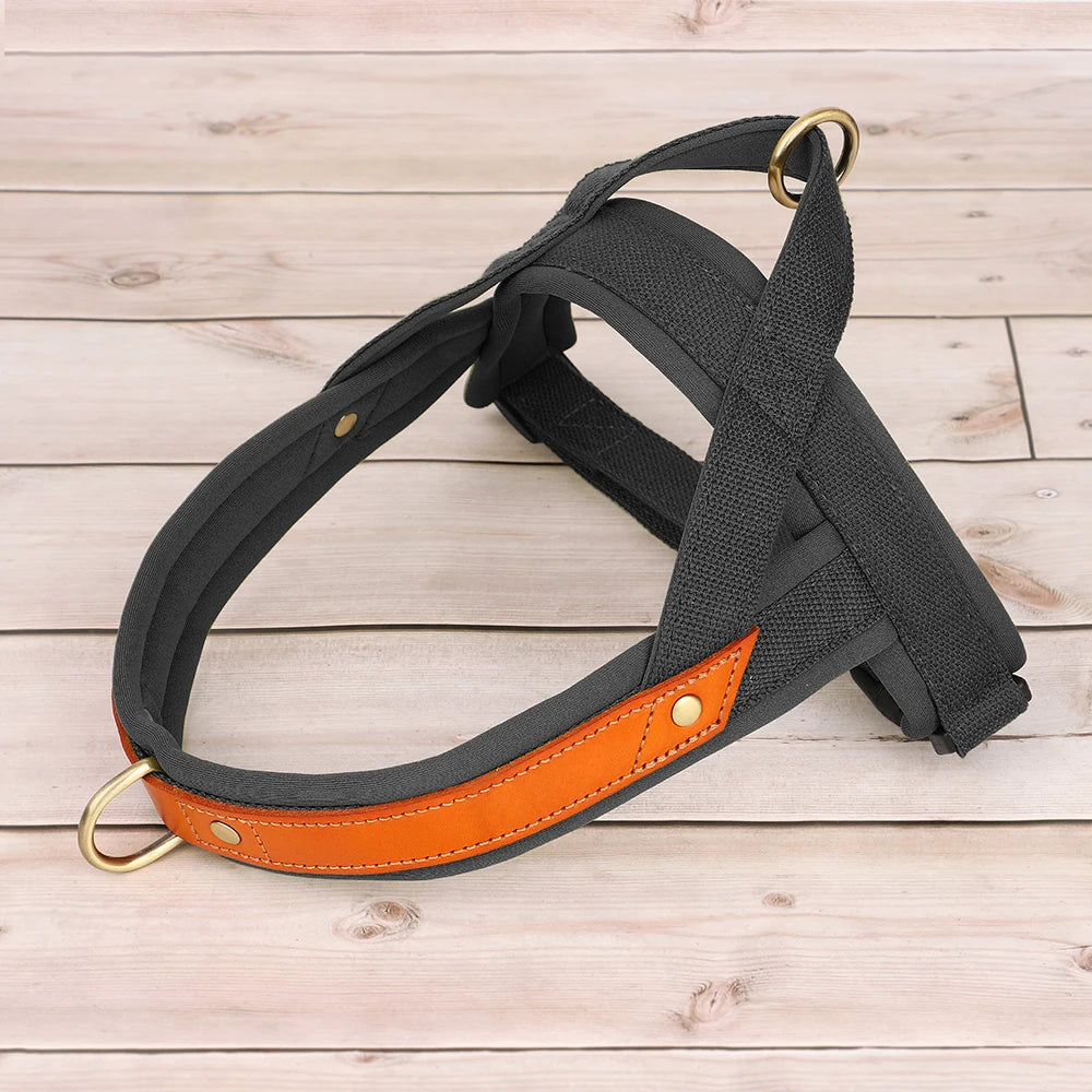 Reflective No-Pull Padded Harness