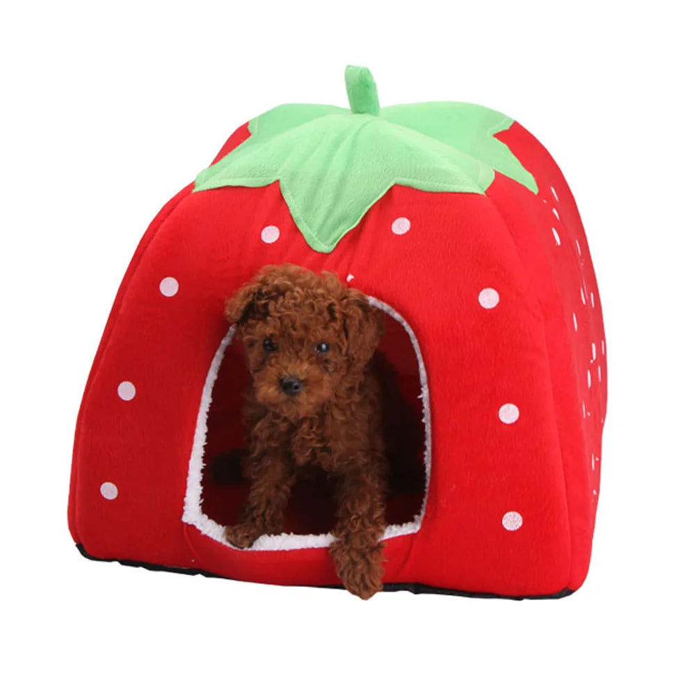 Strawberry House for Small Dogs & Cats