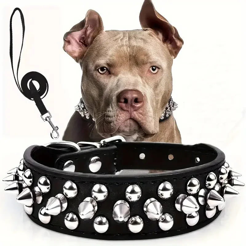 Spiked Collar