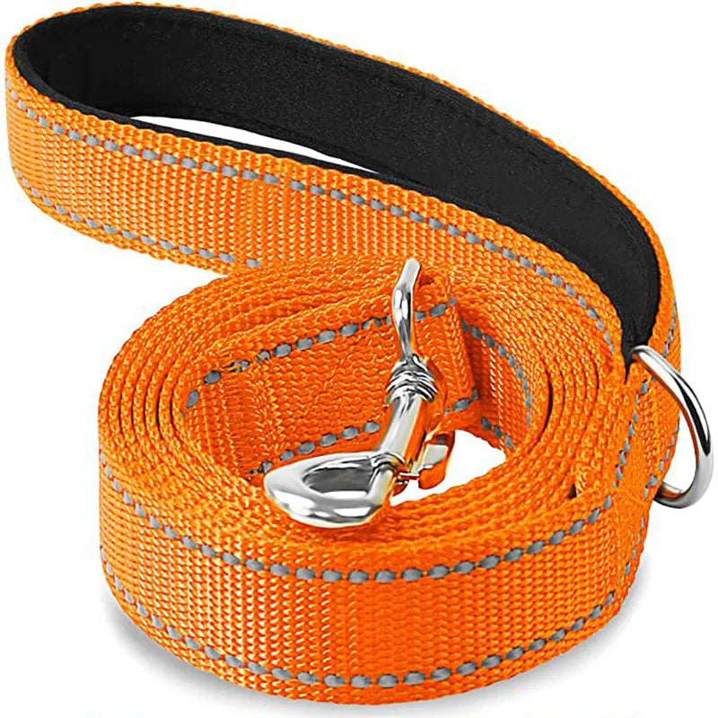 Night Refection Rope Leash