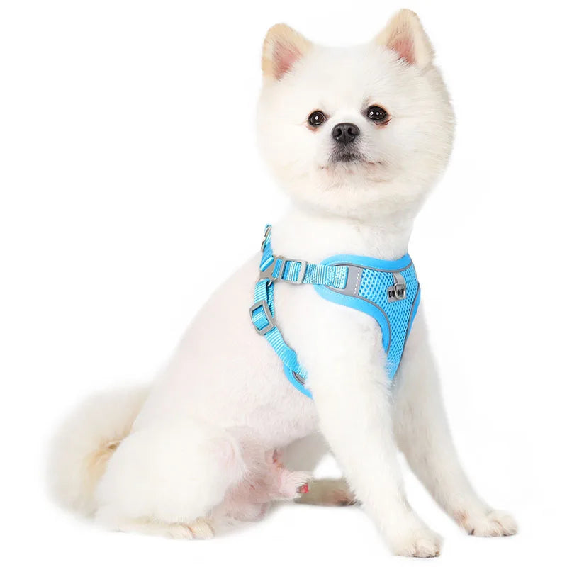 Reflective Harness Vest with Leash