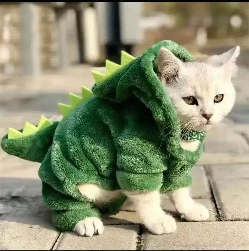 Dinosaur Costume 1