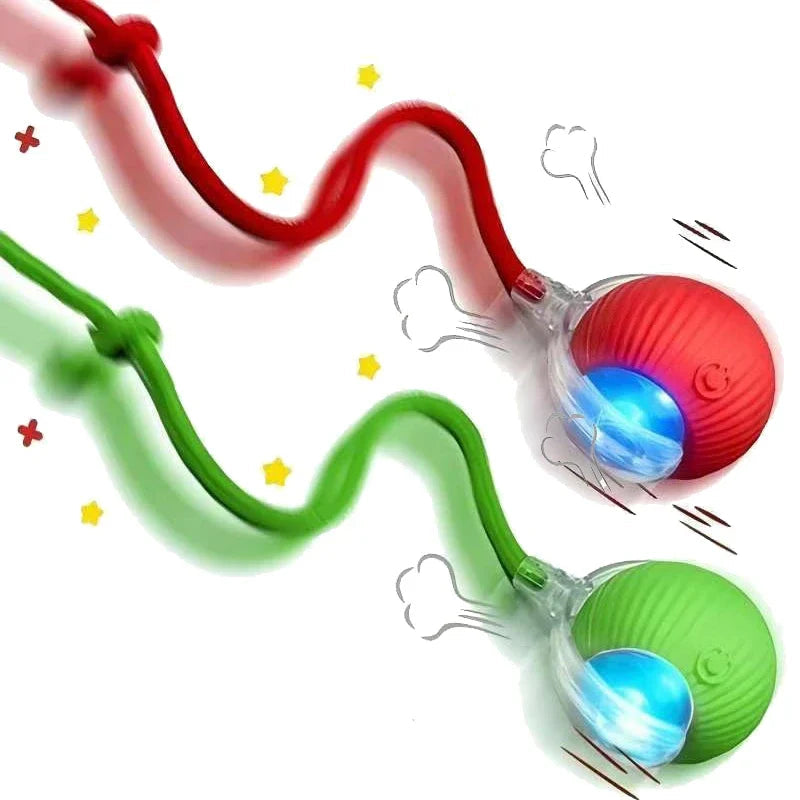 Interactive Ball Toy