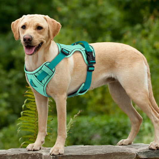 Mesh Reflective Harness