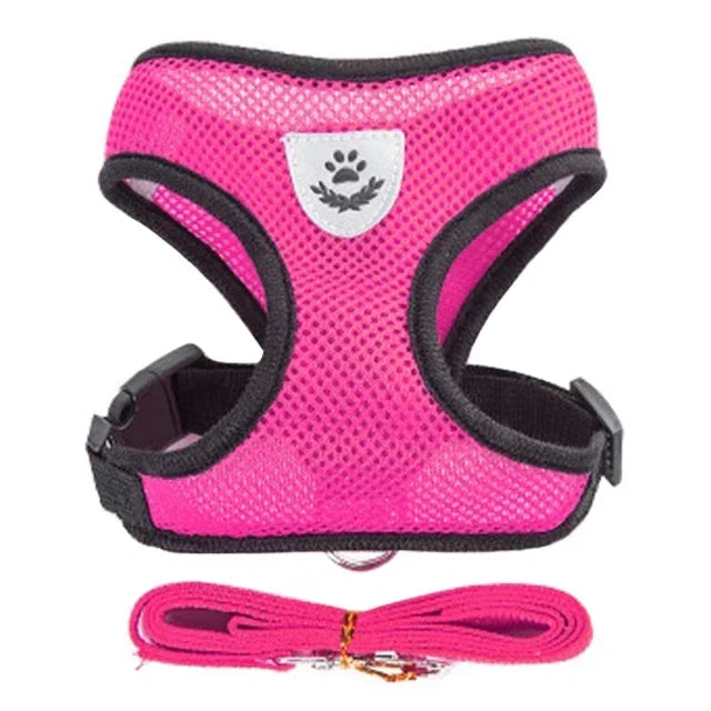 Cat Harness and Leash 8