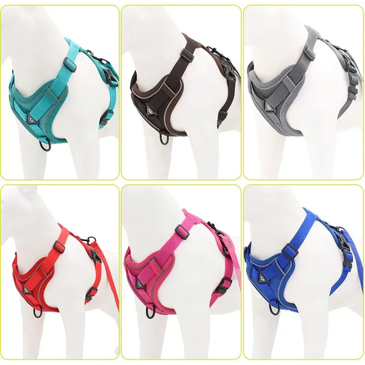 No-Pull Harness Set with 1.5m Traction Leash