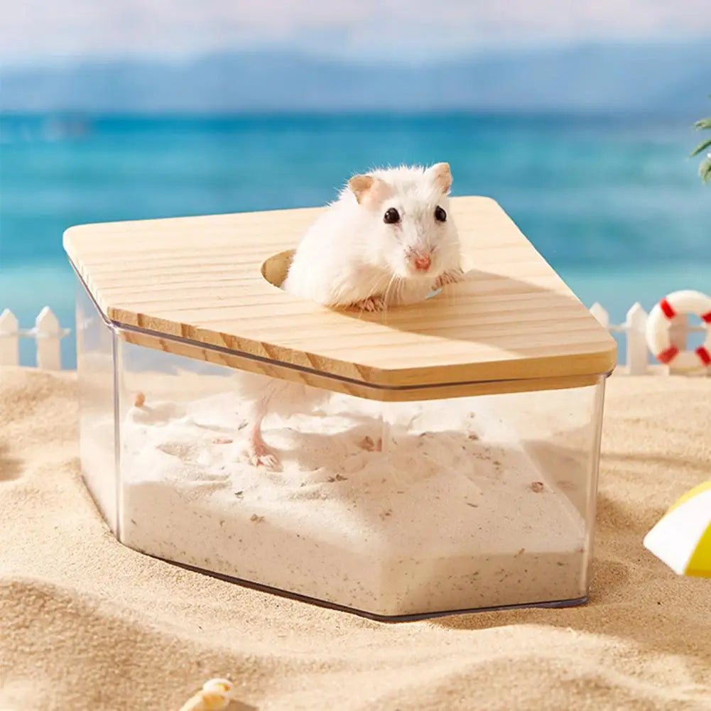 Hamster Transparent Sand Bath