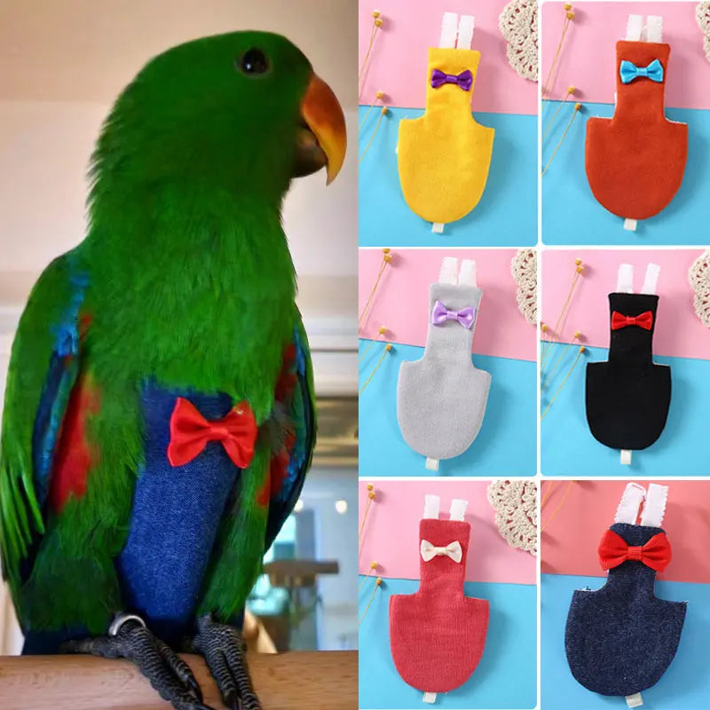 Parrot Diaper Bowtie 1