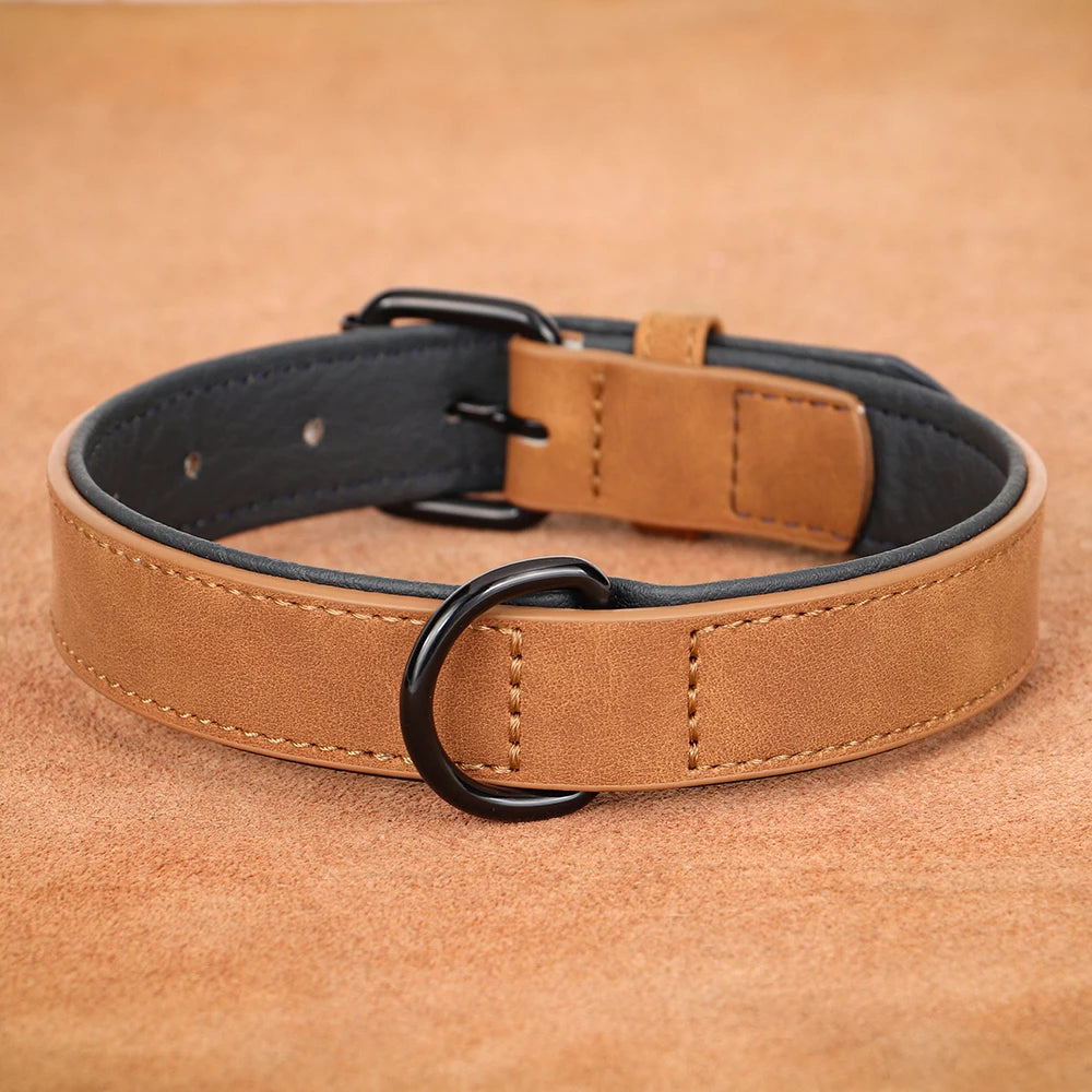 Soft Padded Collars For Large Dogs