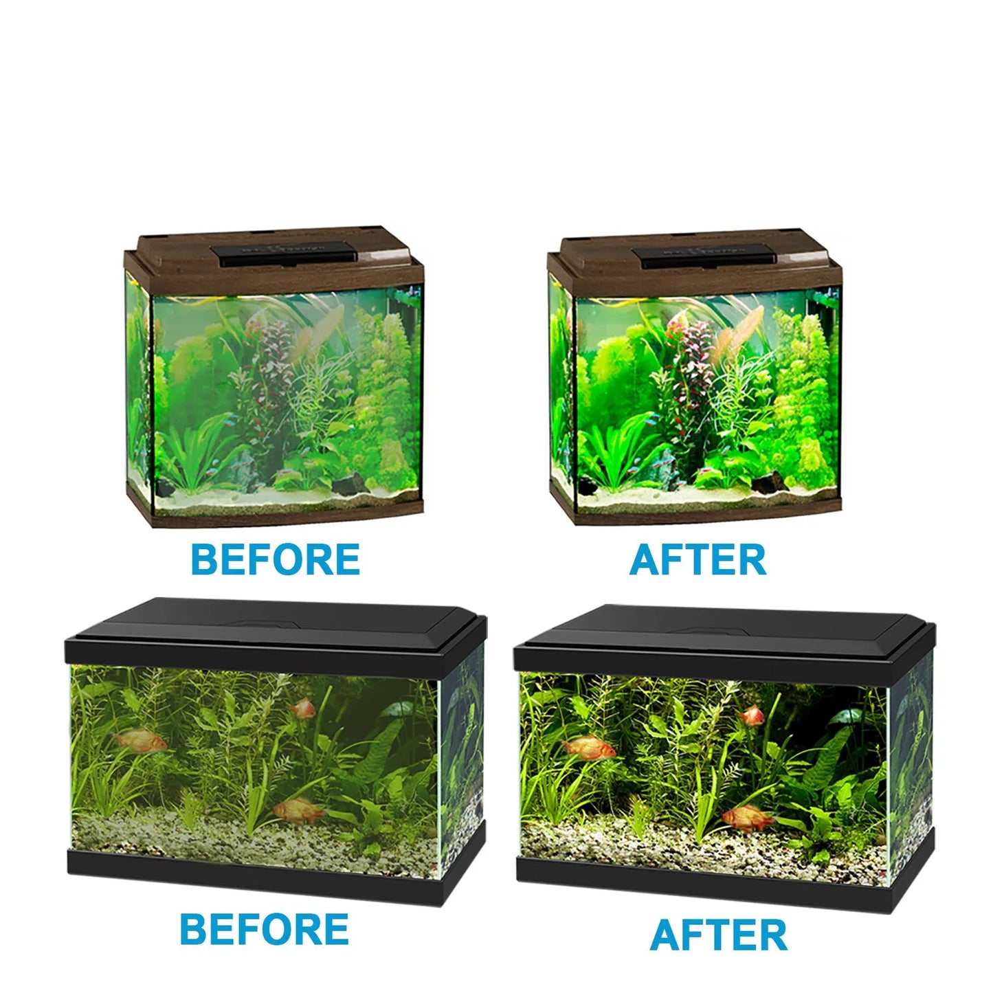 Aquarium Algae Removal Tablets