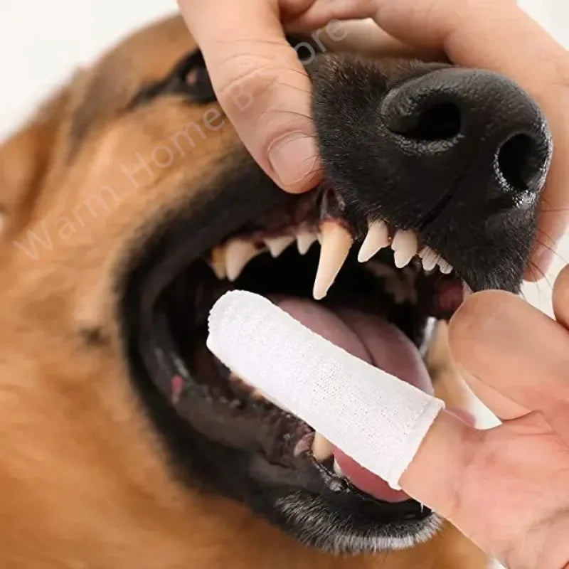 Dog Toothbrush 1