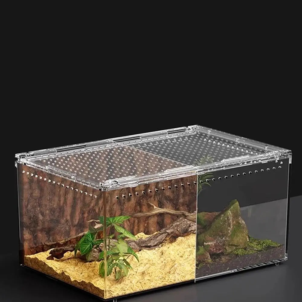 Acrylic Terrarium