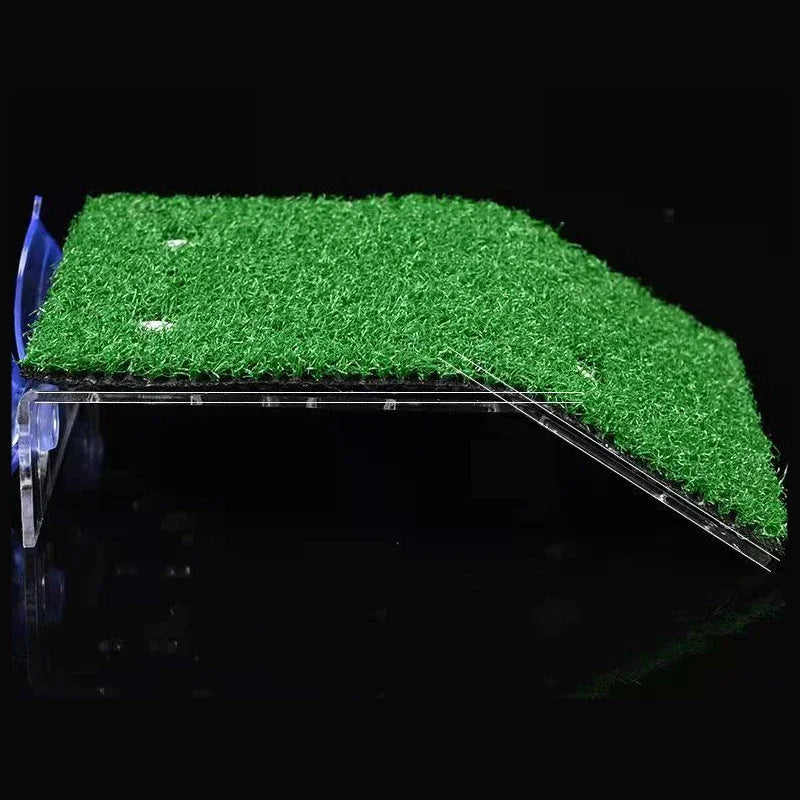 Turtle Moss Platform