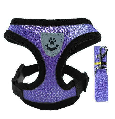 Cat Harness and Leash 2