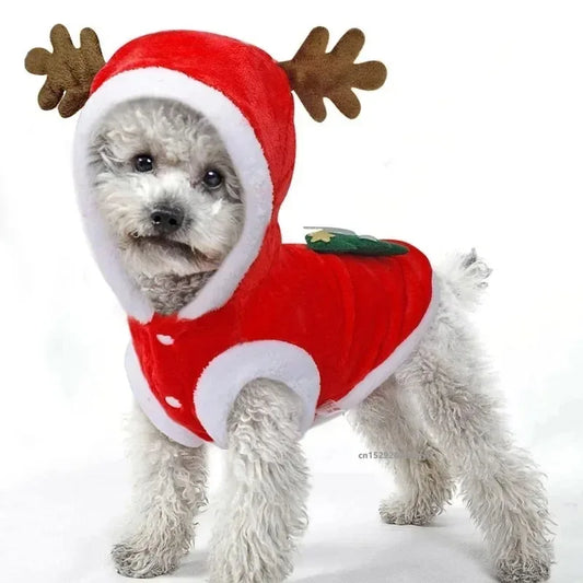 Pet Christmas Hoodie 2