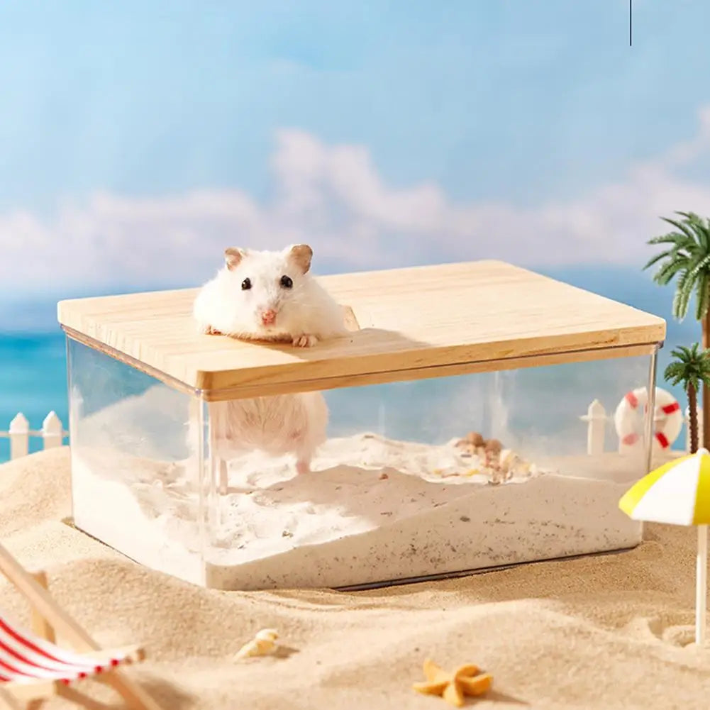 Hamster Transparent Sand Bath