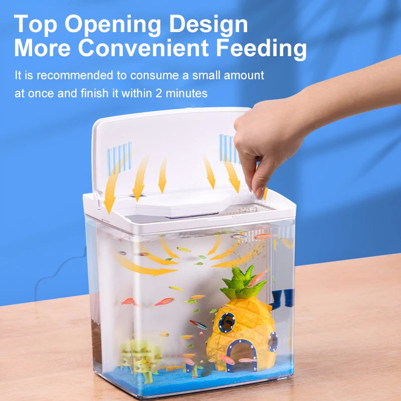 Mini Ecological Fish Tank
