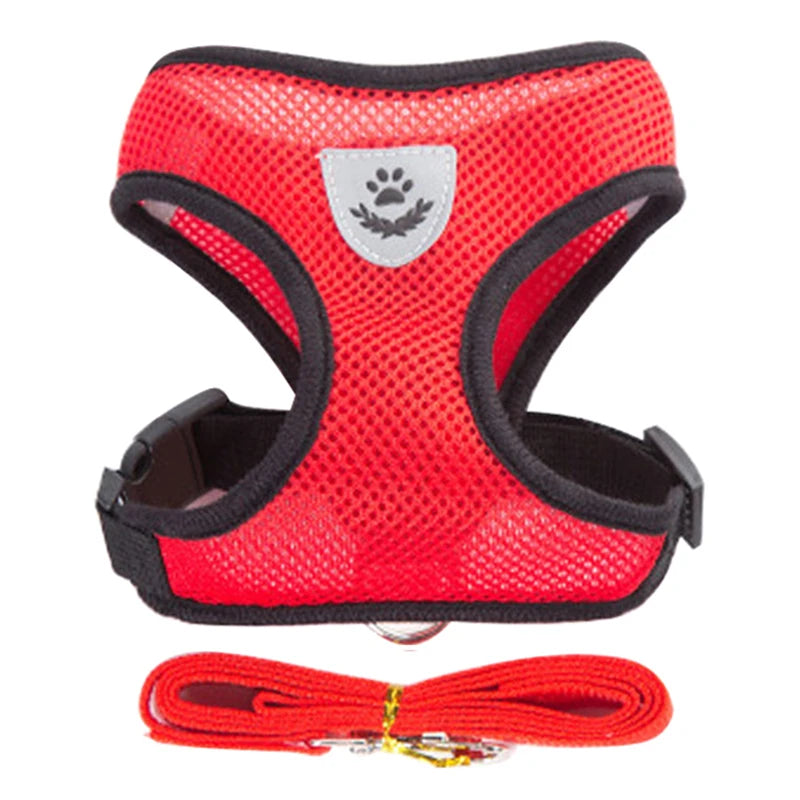 Adjustable Harness Set – Breathable Vest with Leash