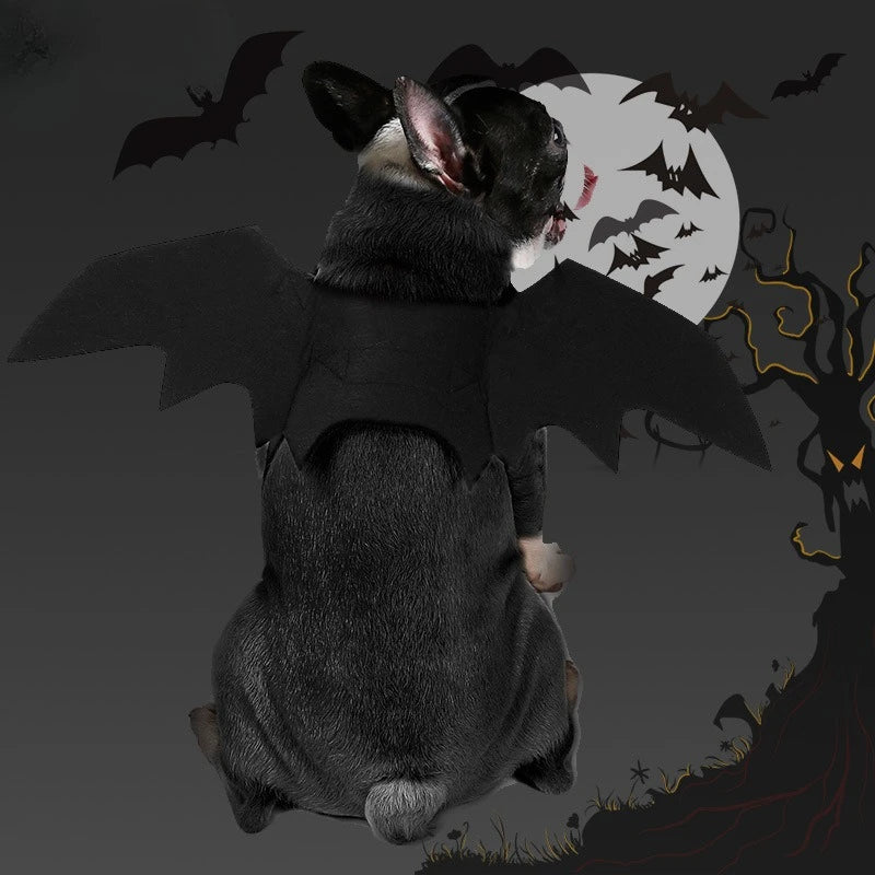 Pet Bat Wings