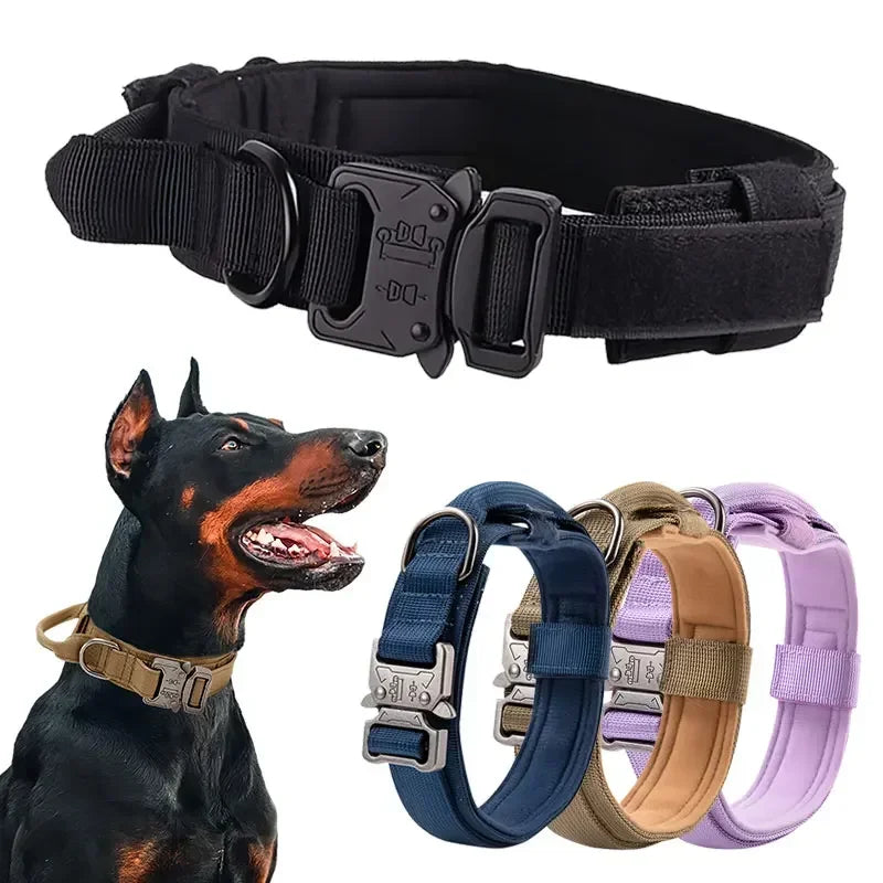 Sporty Tactical Collar