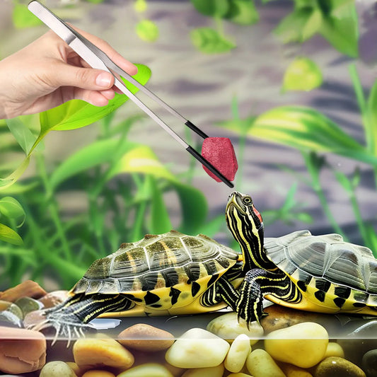 Reptile Feeding Tweezers 1 (2pcs)