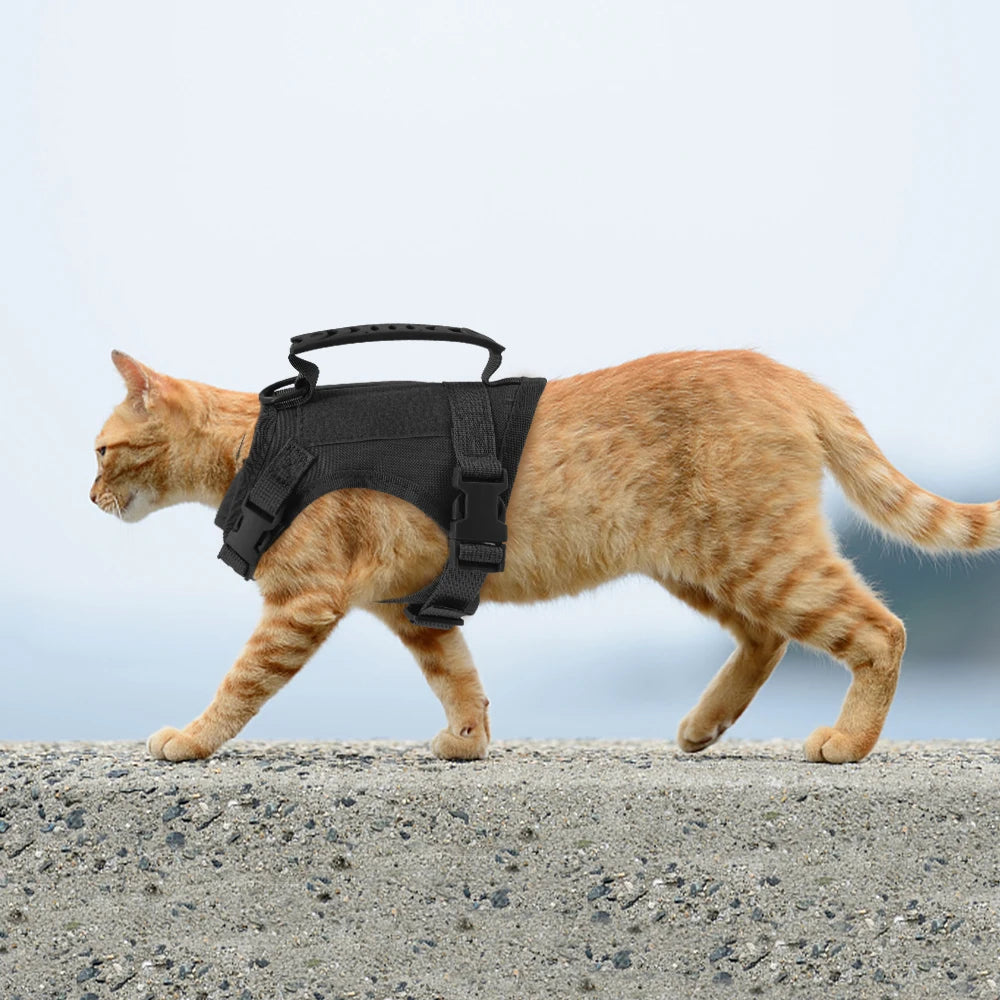 Tactical Puppy & Small Dog Harness Set