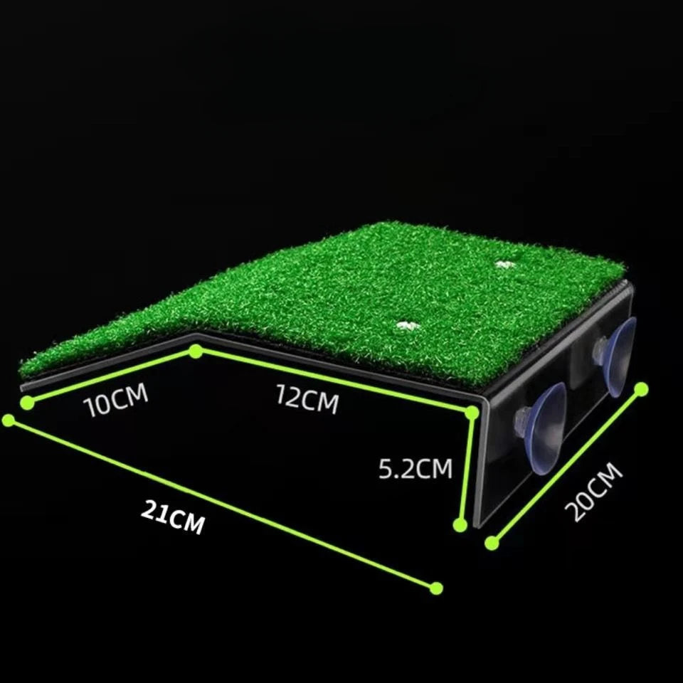 Turtle Moss Platform