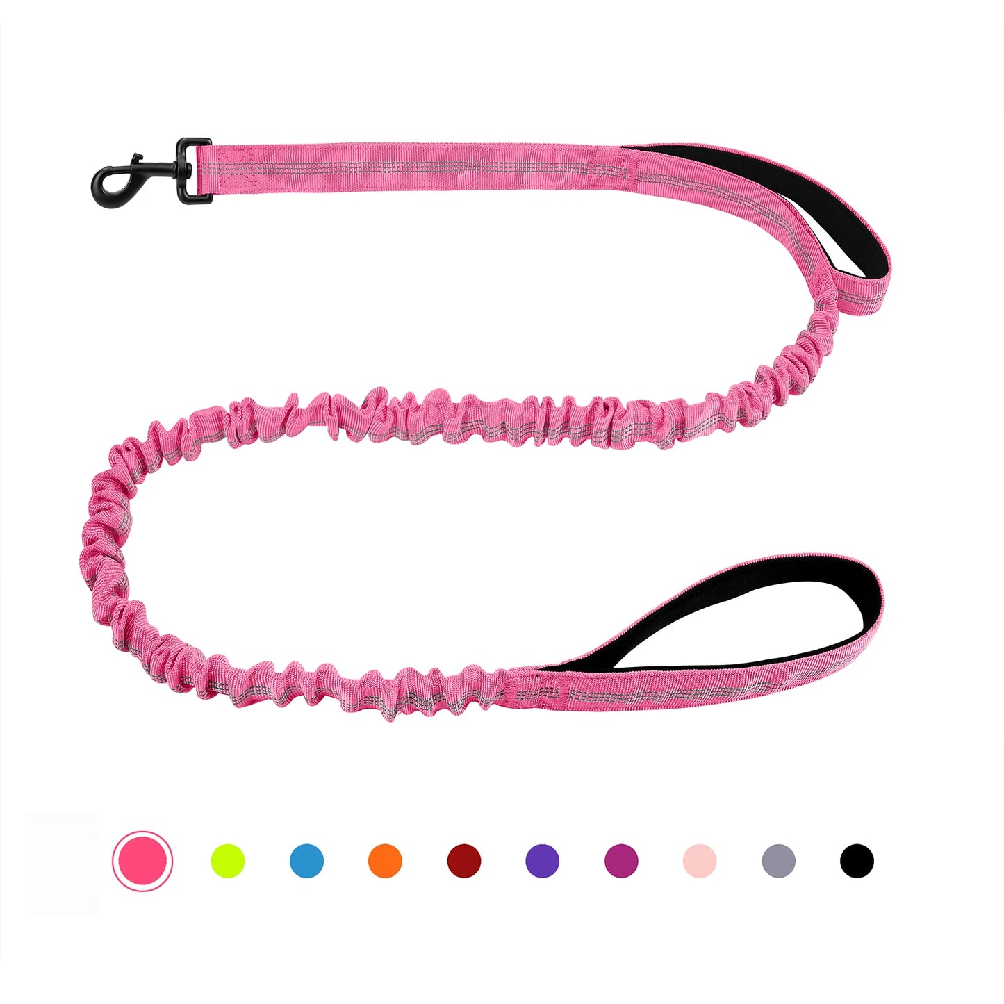 Bungee Leash with Shock Absorption