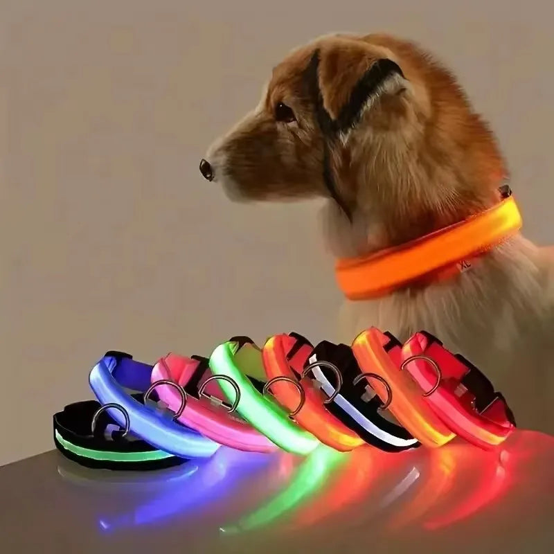 Led Glowing Collar