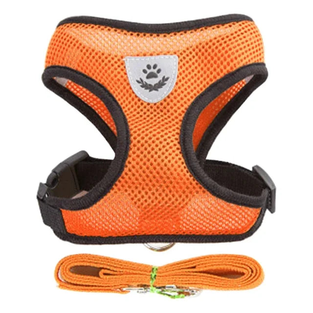 Cat Harness and Leash 2