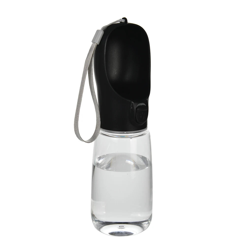 Portable Water Bottle