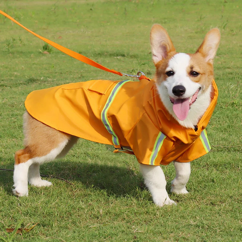 Corgi Cloak Style Raincoat 1