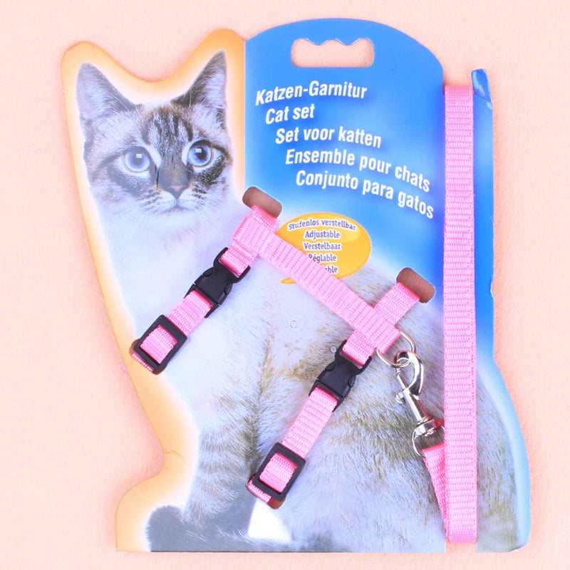 Cat Harness and Leash 1