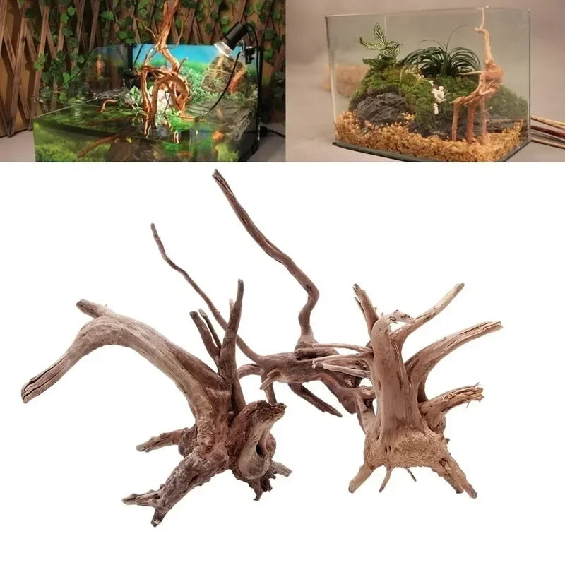 Driftwood Terrarium Décor