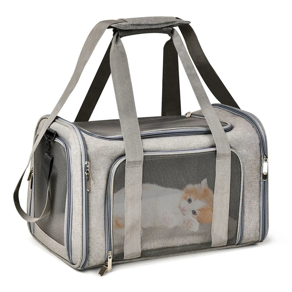Dog Carrier 8