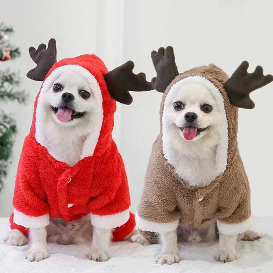Dog Christmas Hoodie 1