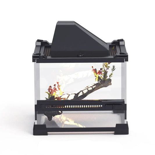 Reptile Transparent Terrarium