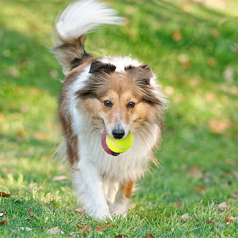 6PCS Dog Tennis Balls – 5cm