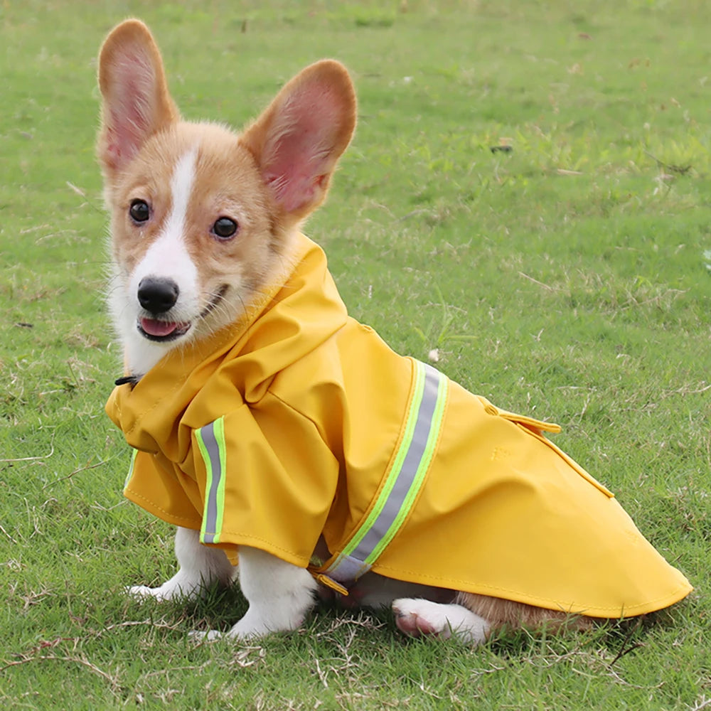 Corgi Cloak Style Raincoat