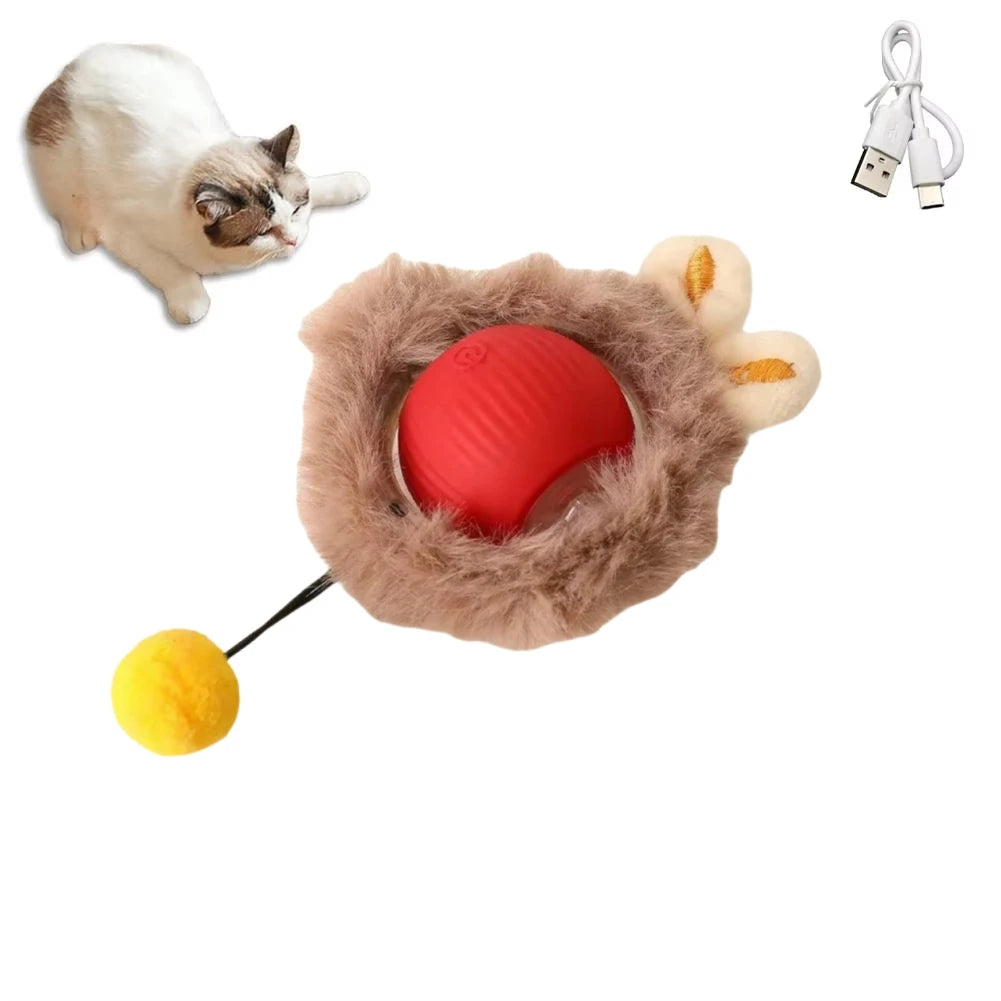 Interactive Ball Toy 1