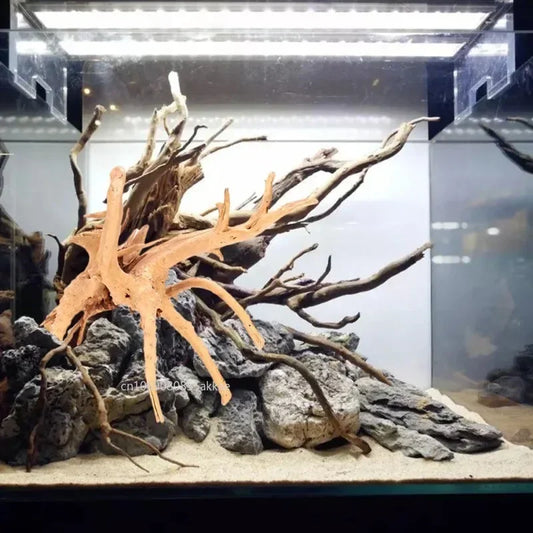Driftwood Terrarium Décor 1