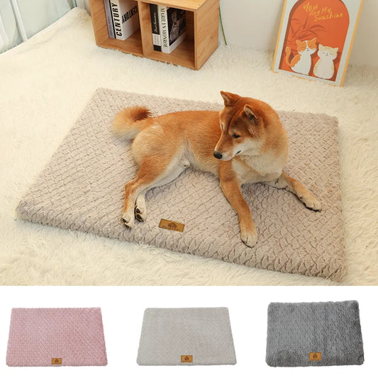 3D Foam Orthopedic Bed