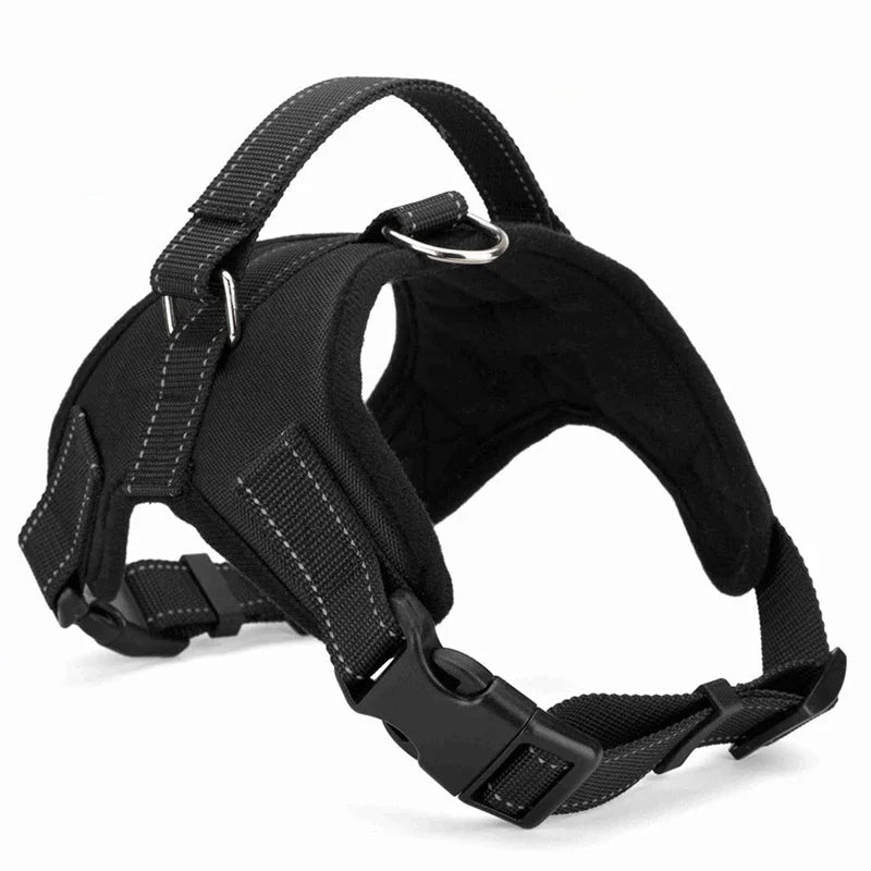 Quick-Release Nylon Harness