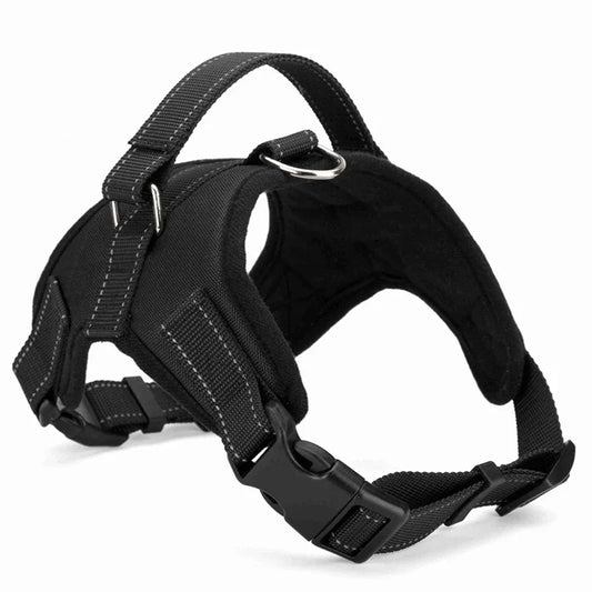 Quick-Release Nylon Harness