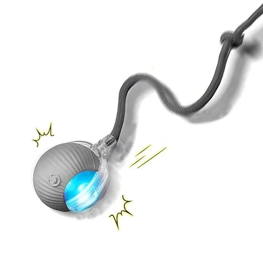 Automatic Rolling Rechargeable Dog Toy