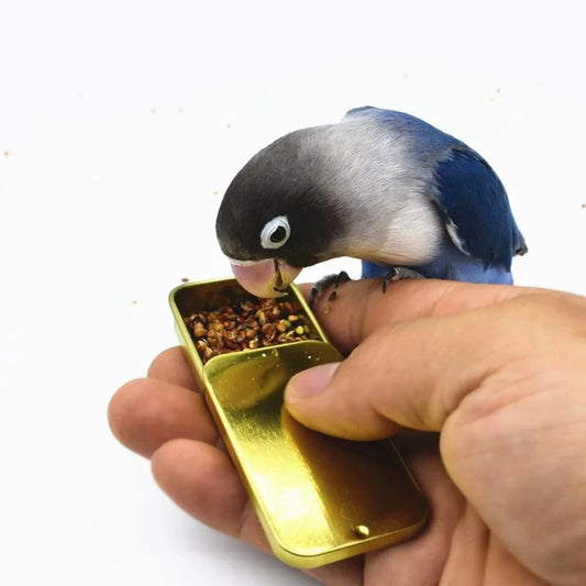 Parrot Training Feeder