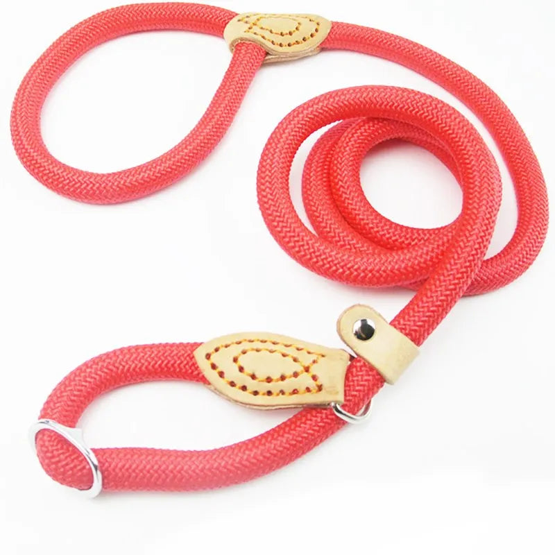 Braided Slip Rope Leash